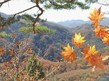 浪潮云今年将落地超过1000个分布式智能云节点|界面新闻 · 快讯